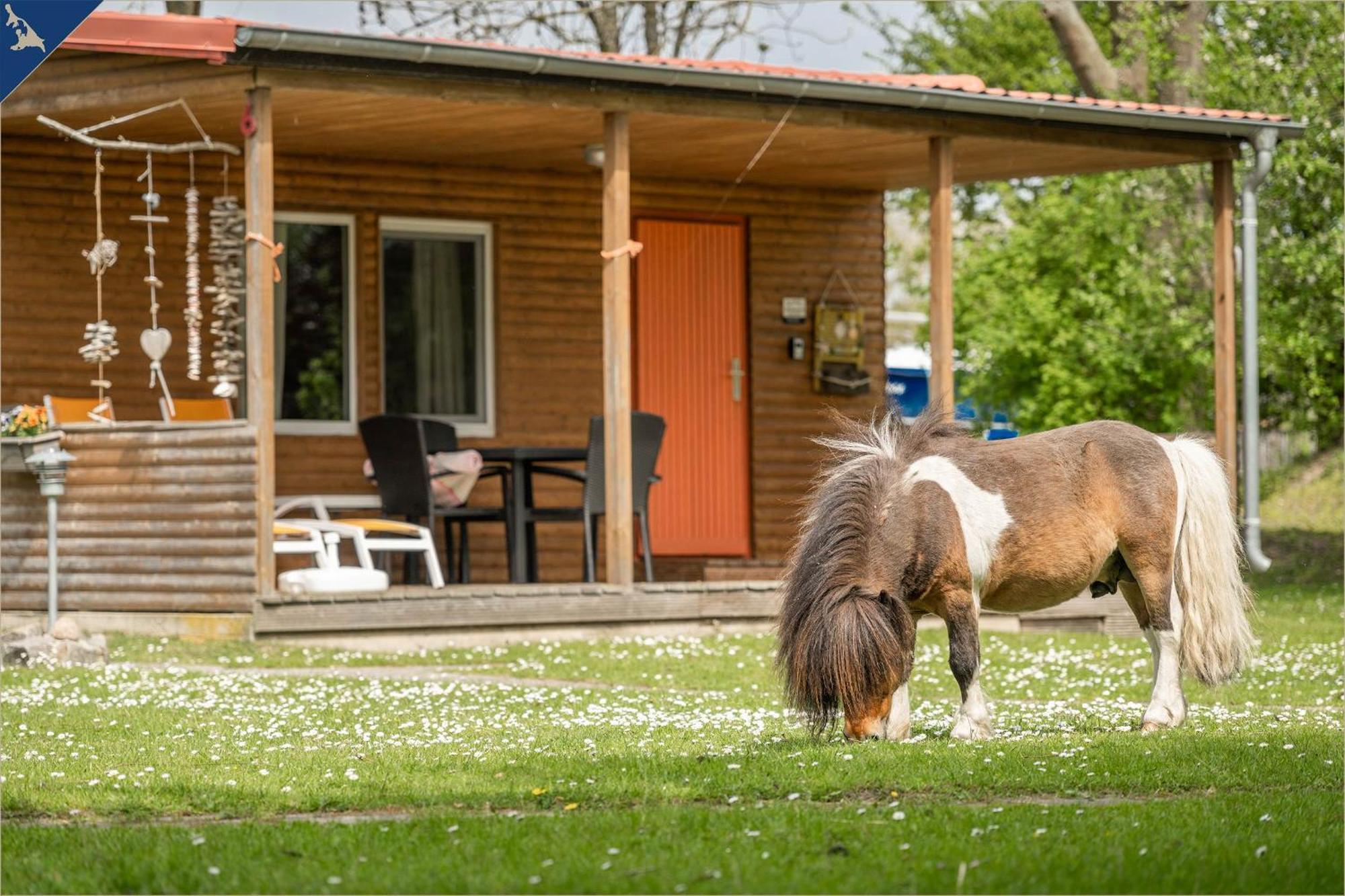 Ferienresort Moewenort Luetow Bungalow 1 Lutow Exterior foto